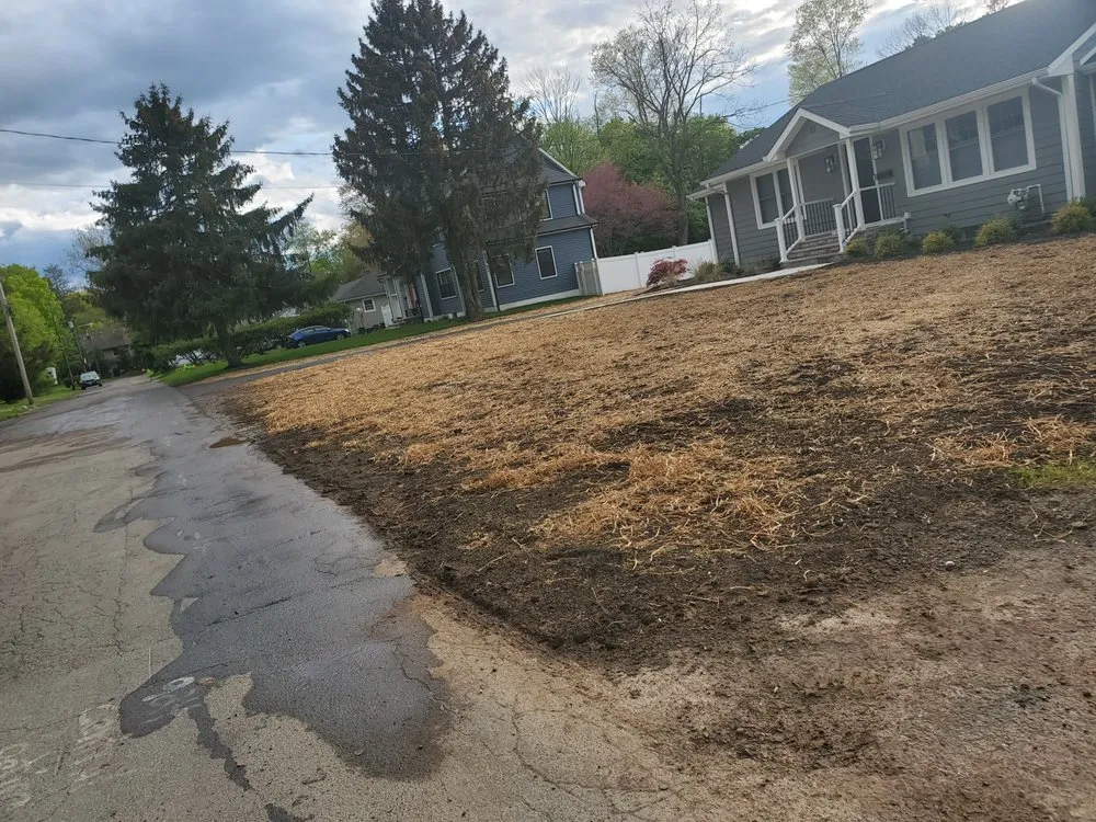 Trusted landscape design for year-round maintenance in Orange, NJ by Fran Landscaping