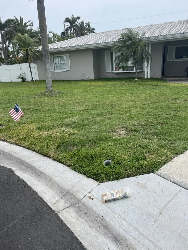 Custom lawn care service near you across Tampa Bay, FL - Franceschi Lawn Service