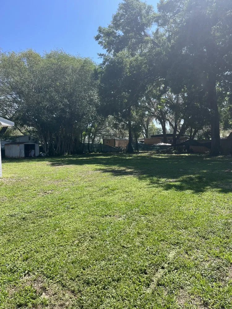 Trusted residential landscaping for beautiful yards in Tampa Bay, FL by Franceschi Lawn Service