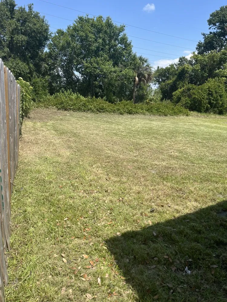 Expert landscape installation for homes across Tampa Bay, FL - Franceschi Lawn Service