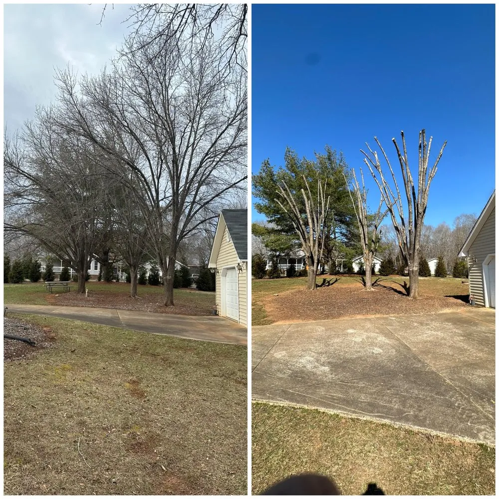 Trusted landscape design in Shelby, NC - Francis Brothers