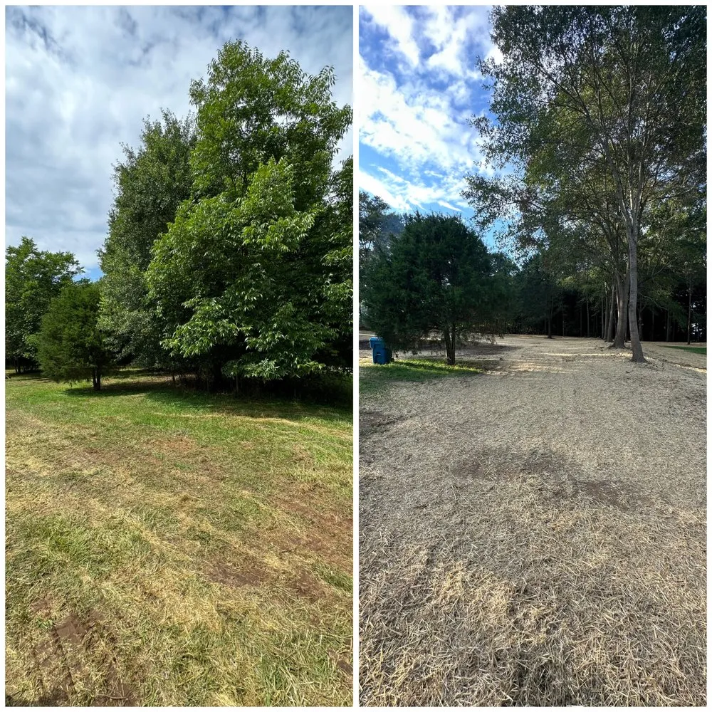 Trusted landscaping services for year-round maintenance across Shelby, NC - Francis Brothers