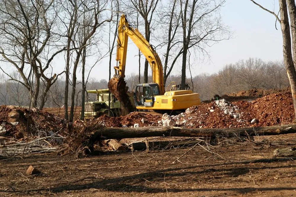 Professional yard cleanup service for year-round maintenance across Texarkana, TX - Francis Excavating