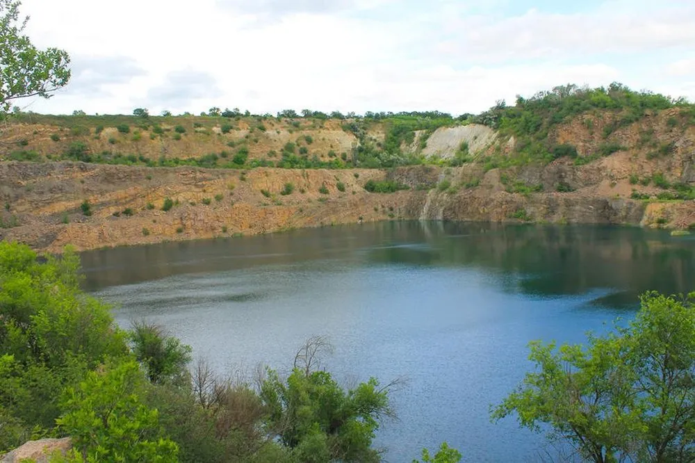 Trusted lawn care service in Texarkana, TX - Francis Excavating