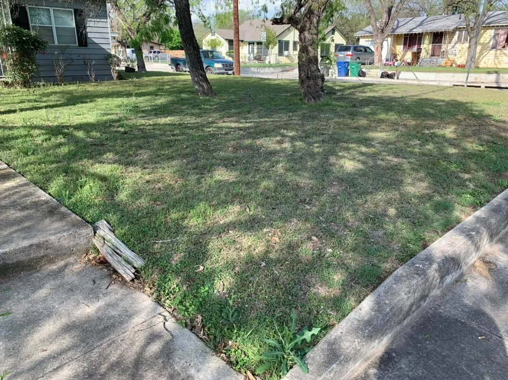 Trusted lawn care service in San Antonio, TX - Francis Lawn & Maintenance