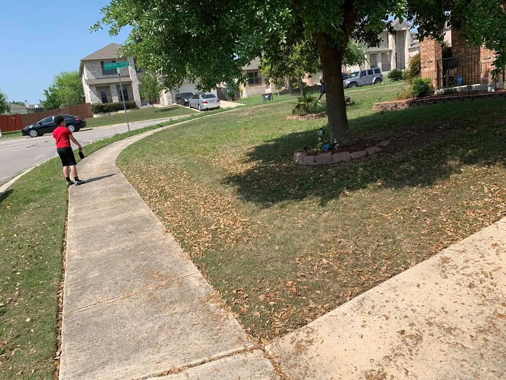 Affordable outdoor landscaping in San Antonio, TX by Francis Lawn & Maintenance