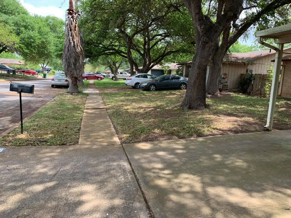 Professional yard cleanup service for residential properties in San Antonio, TX by Francis Lawn & Maintenance