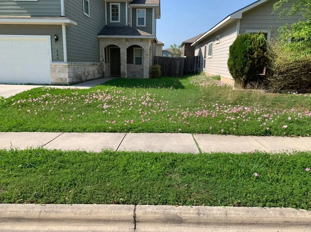 Professional yard maintenance in San Antonio, TX by Francis Lawn & Maintenance