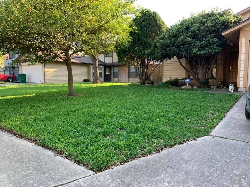 Top-rated lawn care service in San Antonio, TX by Francis Lawn & Maintenance