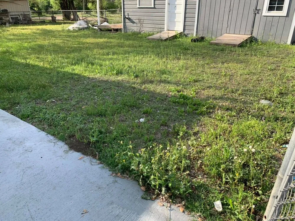 Trusted outdoor landscaping for homes across San Antonio, TX - Francis Lawn & Maintenance