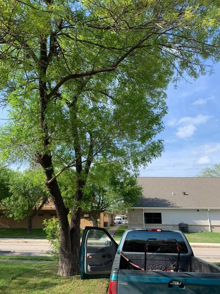 Affordable lawn mowing service experts serving San Antonio, TX - Francis Lawn & Maintenance