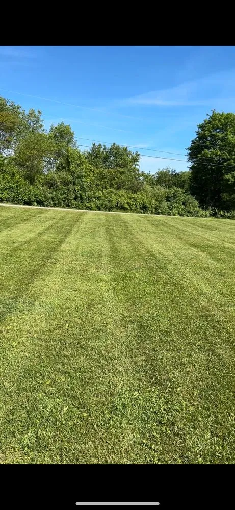 Top-rated landscape design in Silver Lake, IN - Francis Lawn Care