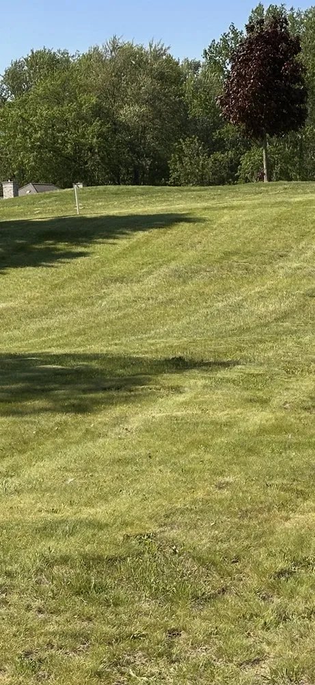 Affordable lawn care service experts serving Silver Lake, IN - Francis Lawn Care