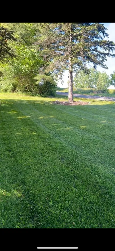 Reliable outdoor landscaping experts serving Silver Lake, IN - Francis Lawn Care