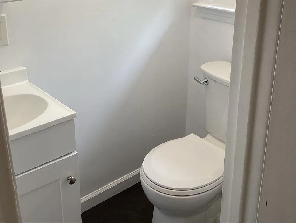 Top-rated yard cleanup service experts serving New York, NY - Francis Property Solutions