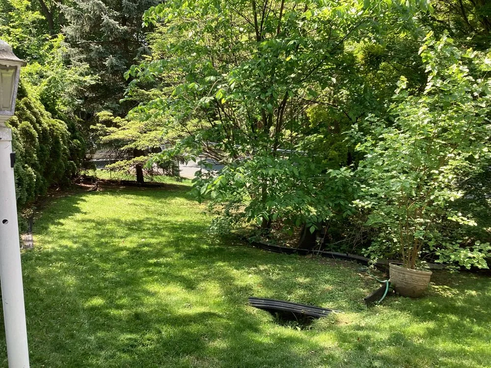 Affordable outdoor landscaping in New York, NY by Francis Property Solutions