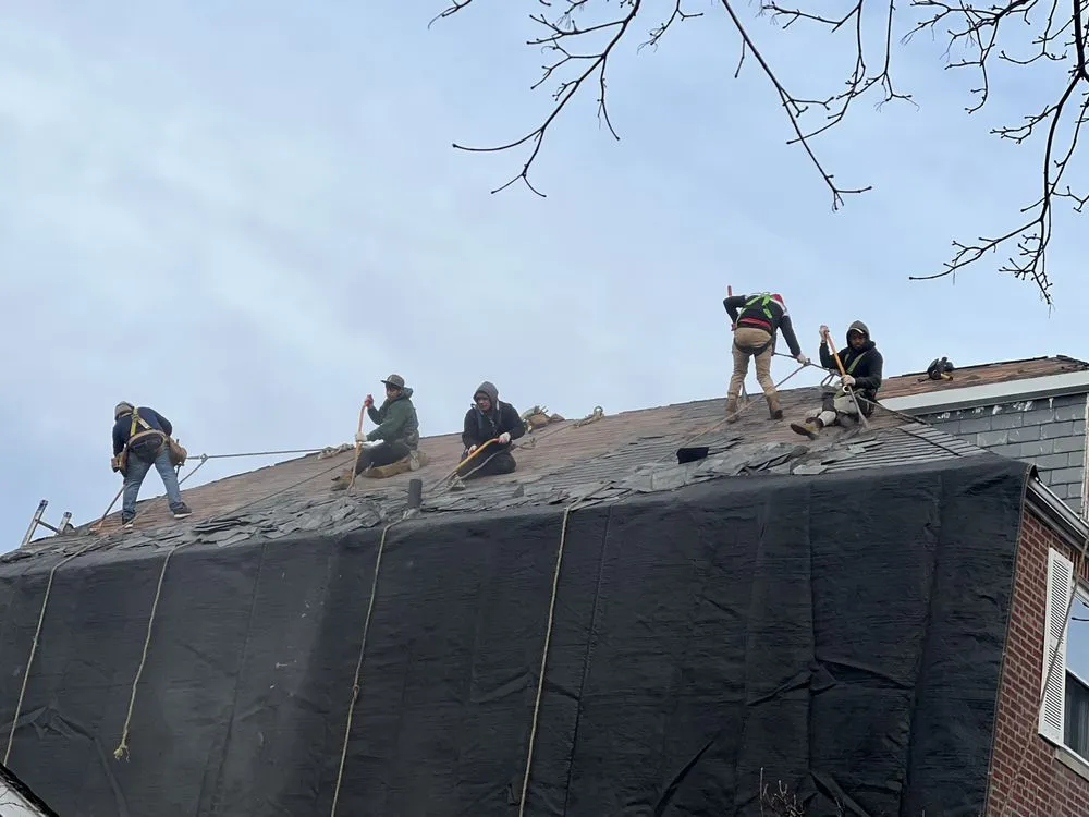 Professional landscaping services in New York, NY by Francis Property Solutions