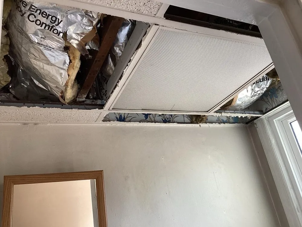 Top-rated residential landscaping in New York, NY - Francis Property Solutions