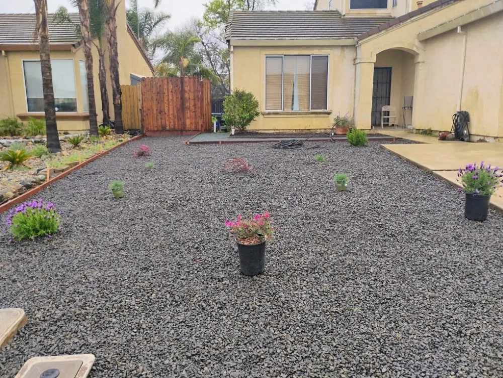 Local lawn mowing service for beautiful yards in Bay Point, CA by Francis Service