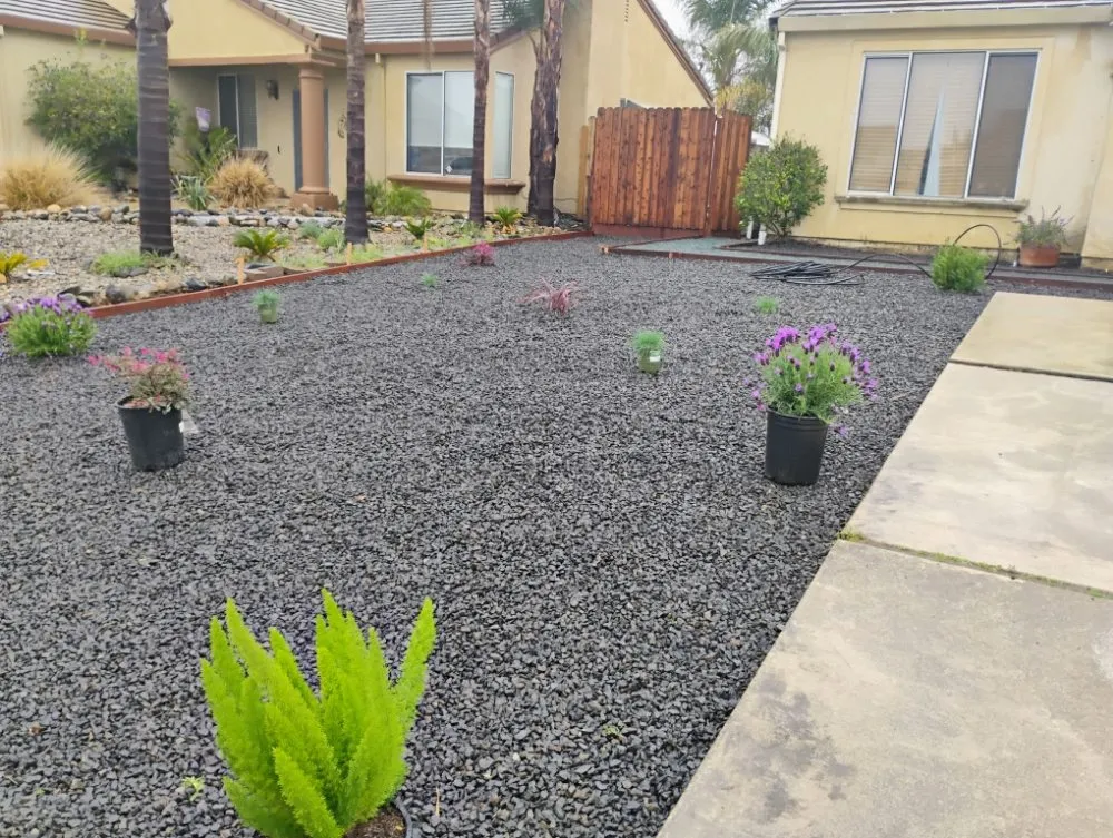 Affordable yard cleanup service in Bay Point, CA by Francis Service
