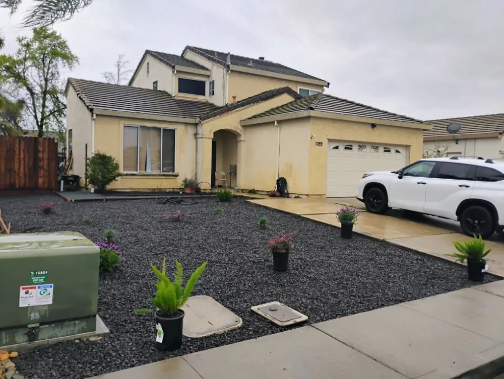 Custom yard maintenance experts serving Bay Point, CA - Francis Service