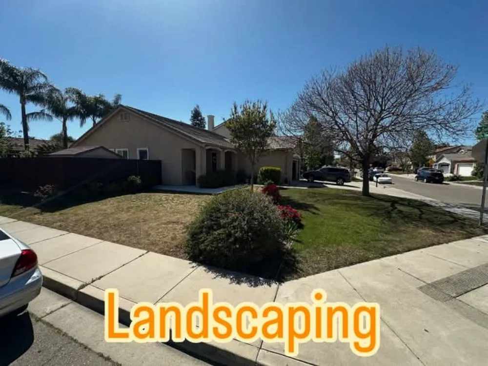 Top-rated yard maintenance experts serving Bay Point, CA - Francis Service