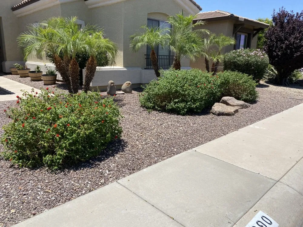 Custom yard cleanup service for year-round maintenance across San Tan Valley, AZ - Franciscan Landscape