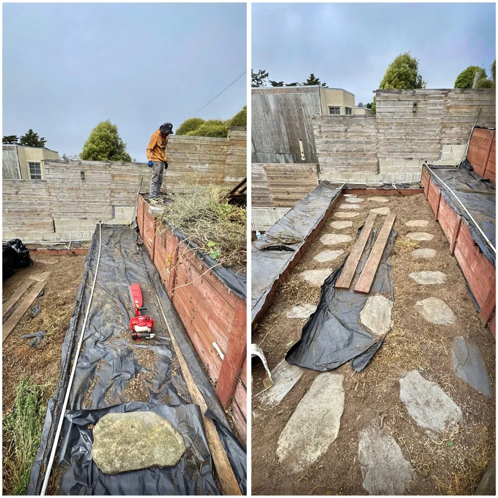 Professional lawn mowing service in San Francisco, CA by Francisco Cleaner