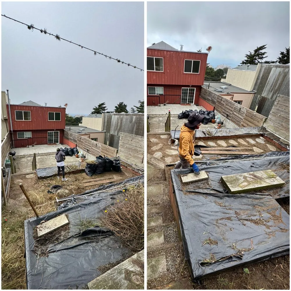 Trusted landscape design in San Francisco, CA by Francisco Cleaner