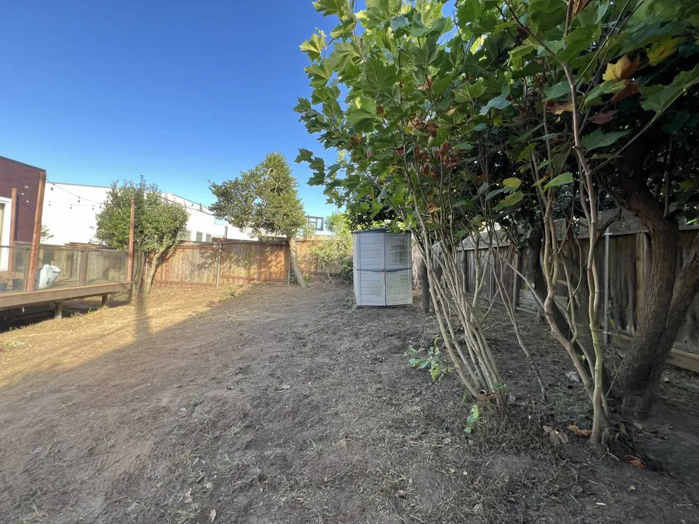 Affordable residential landscaping for residential properties in San Francisco, CA by Francisco Cleaner