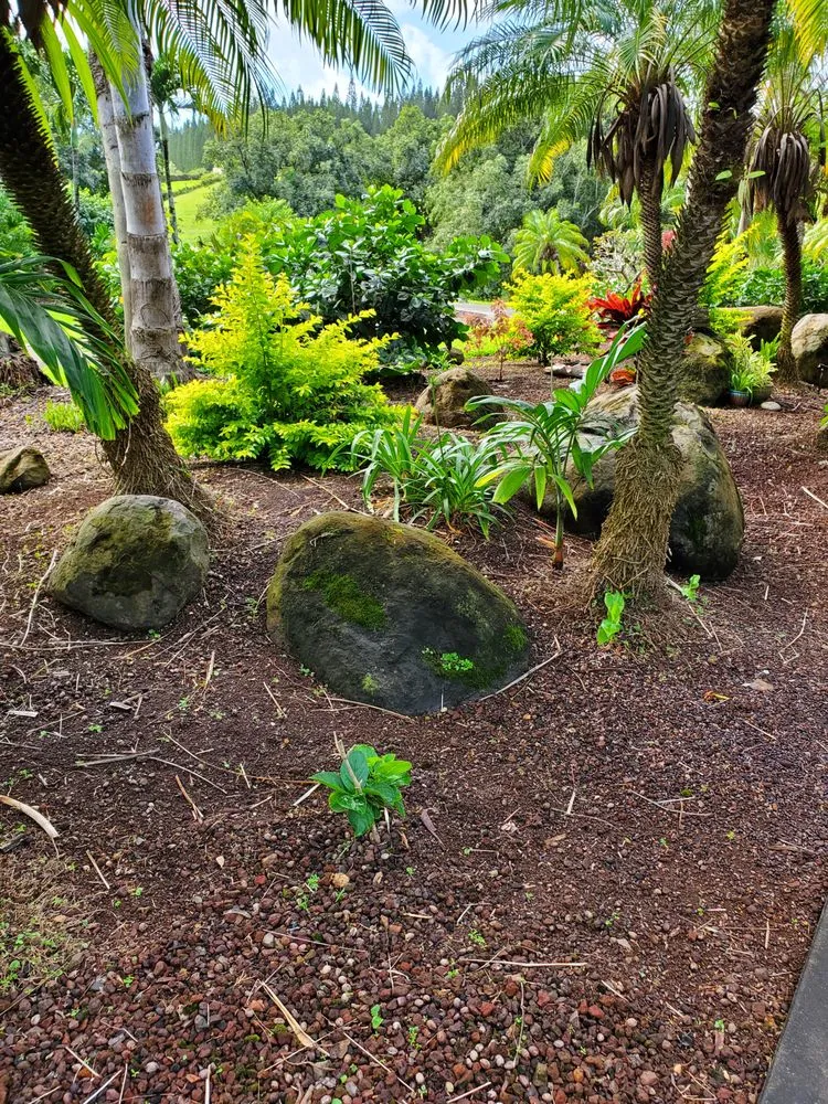 Professional yard cleanup service for outdoor upgrades in Kula, HI by Francisco Colmenero Landscaping