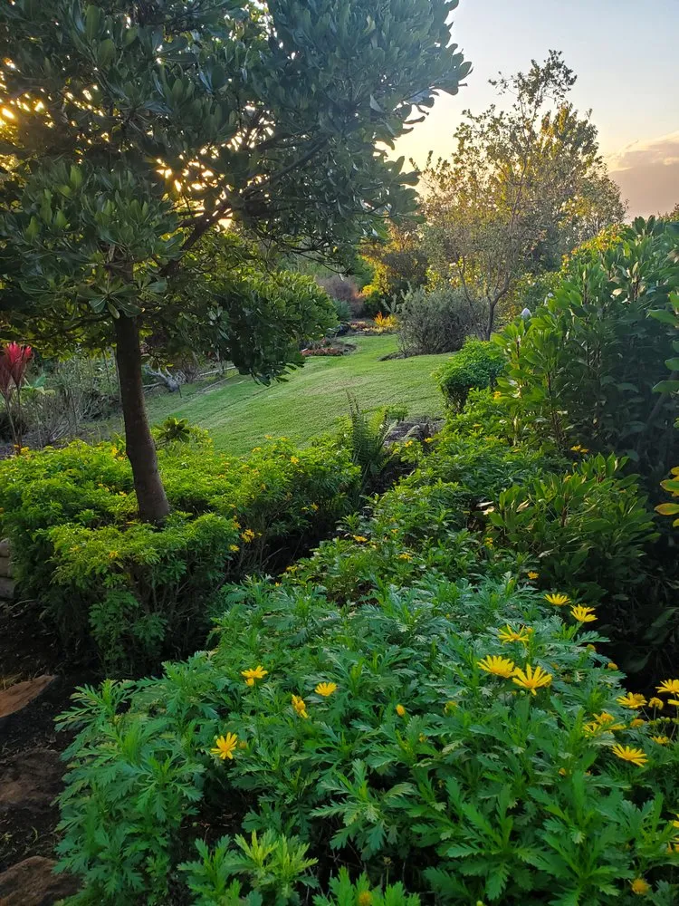 Local landscape design for homes across Kula, HI - Francisco Colmenero Landscaping