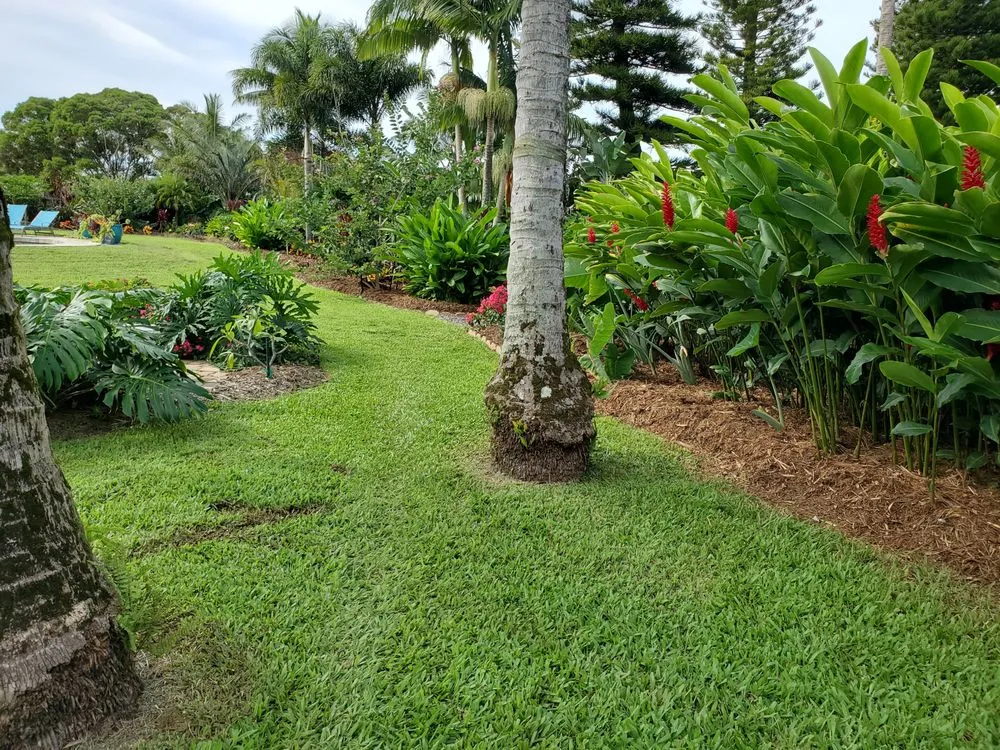 Local landscaping services for year-round maintenance in Kula, HI by Francisco Colmenero Landscaping