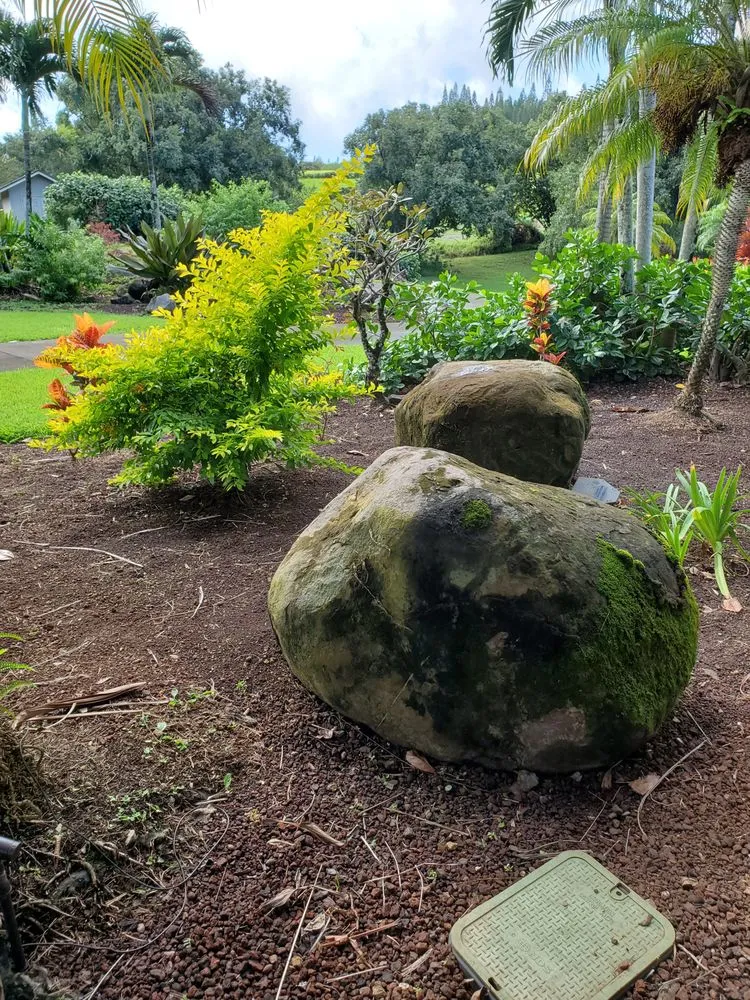 Trusted garden landscaping for homes across Kula, HI - Francisco Colmenero Landscaping
