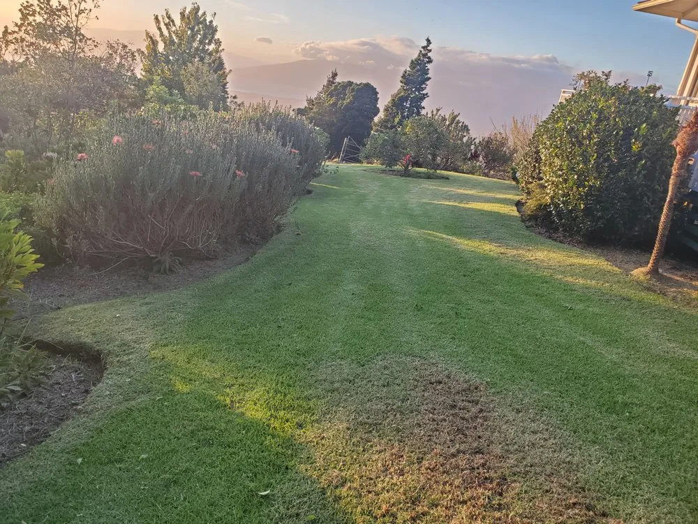 Reliable outdoor landscaping for outdoor upgrades across Kula, HI - Francisco Colmenero Landscaping