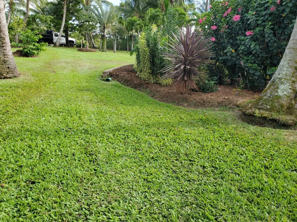 Affordable landscape design experts serving Kula, HI - Francisco Colmenero Landscaping