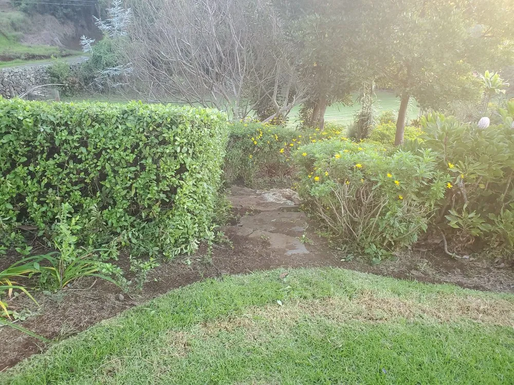 Top-rated landscaping services experts serving Kula, HI - Francisco Colmenero Landscaping