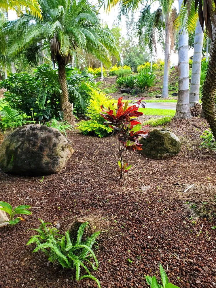Reliable lawn mowing service in Kula, HI - Francisco Colmenero Landscaping
