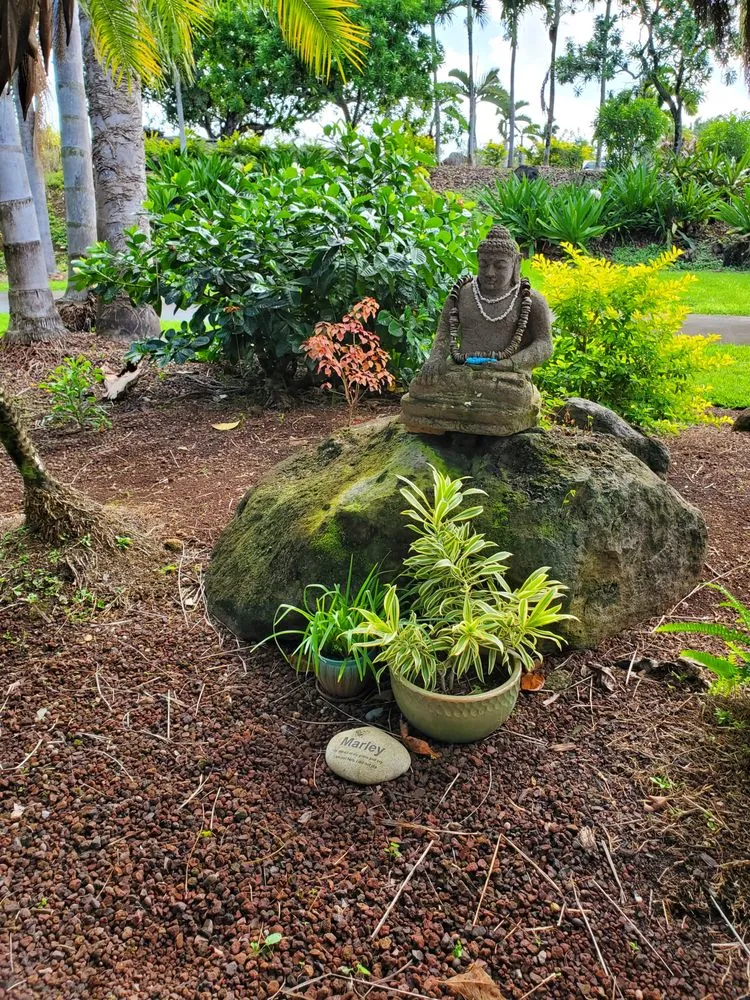 Affordable residential landscaping for outdoor upgrades across Kula, HI - Francisco Colmenero Landscaping
