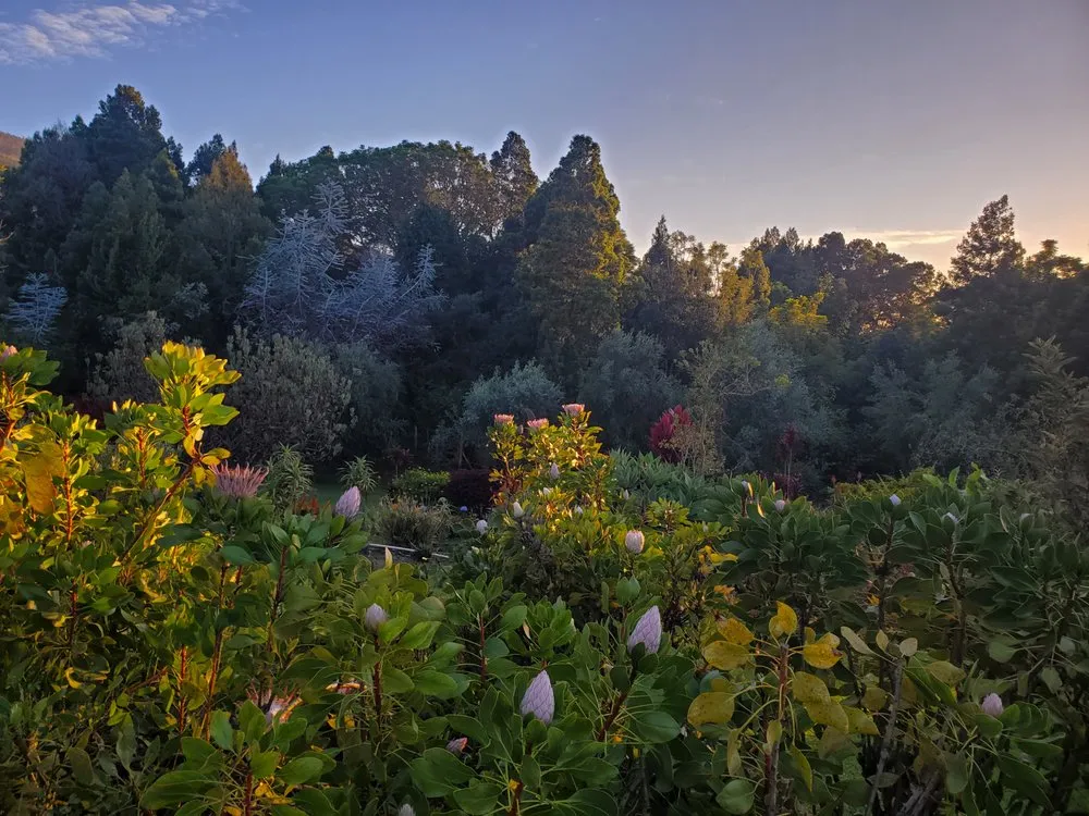 Local lawn mowing service in Kula, HI - Francisco Colmenero Landscaping