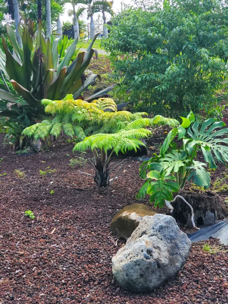Trusted lawn care service experts serving Kula, HI - Francisco Colmenero Landscaping