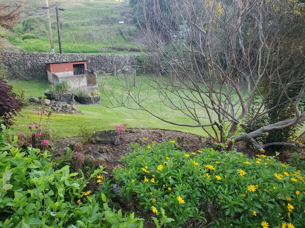 Local lawn mowing service in Kula, HI - Francisco Colmenero Landscaping