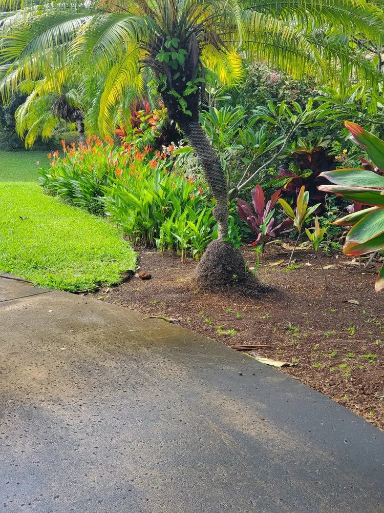 Custom landscape installation experts serving Kula, HI - Francisco Colmenero Landscaping