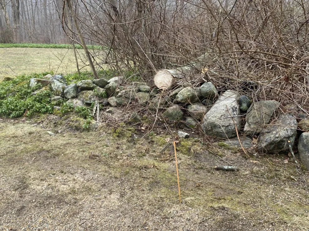 Affordable garden landscaping for outdoor upgrades across Danbury, CT - Francisco Five Star Landscape