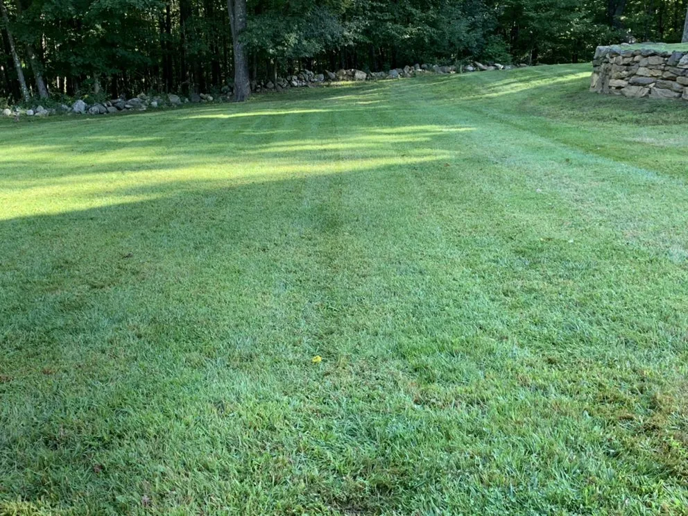 Professional yard maintenance experts serving Danbury, CT - Francisco Five Star Landscape