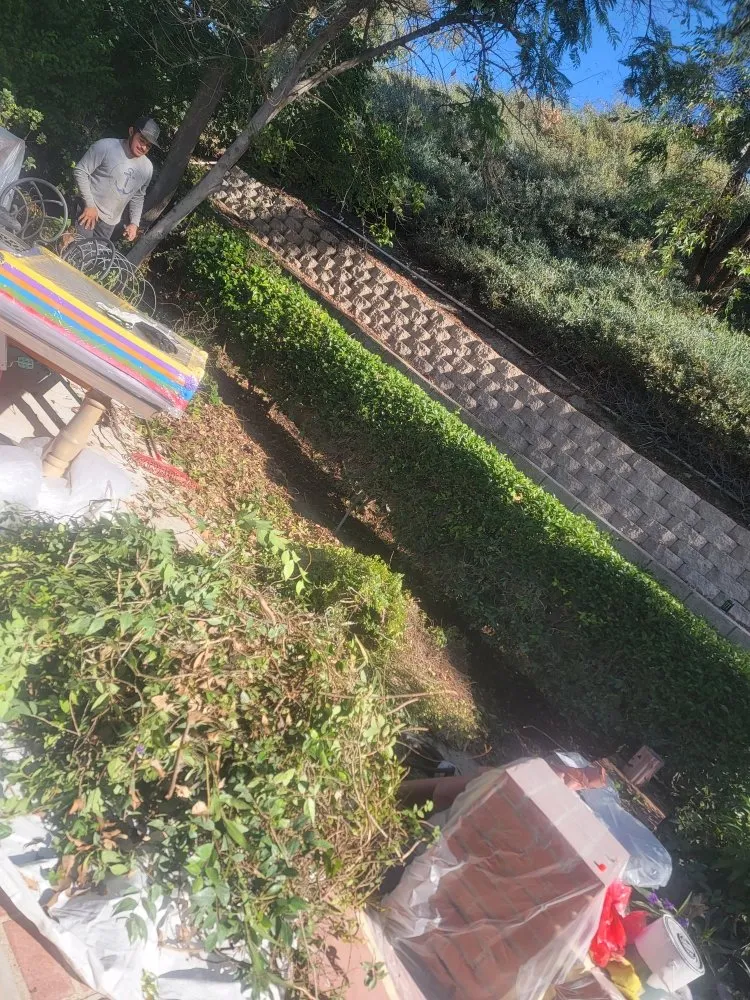 Local landscaping services in Santa Clarita, CA - Francisco Garcia Landscaping and Tree Service