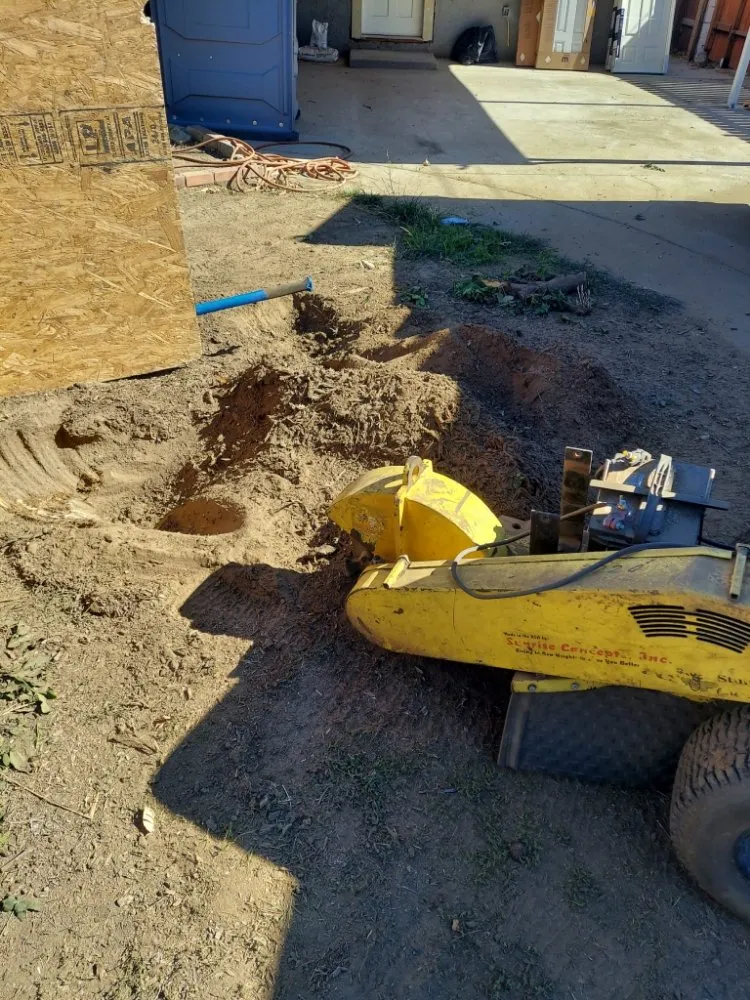 Local lawn care service experts serving Santa Clarita, CA - Francisco Garcia Landscaping and Tree Service