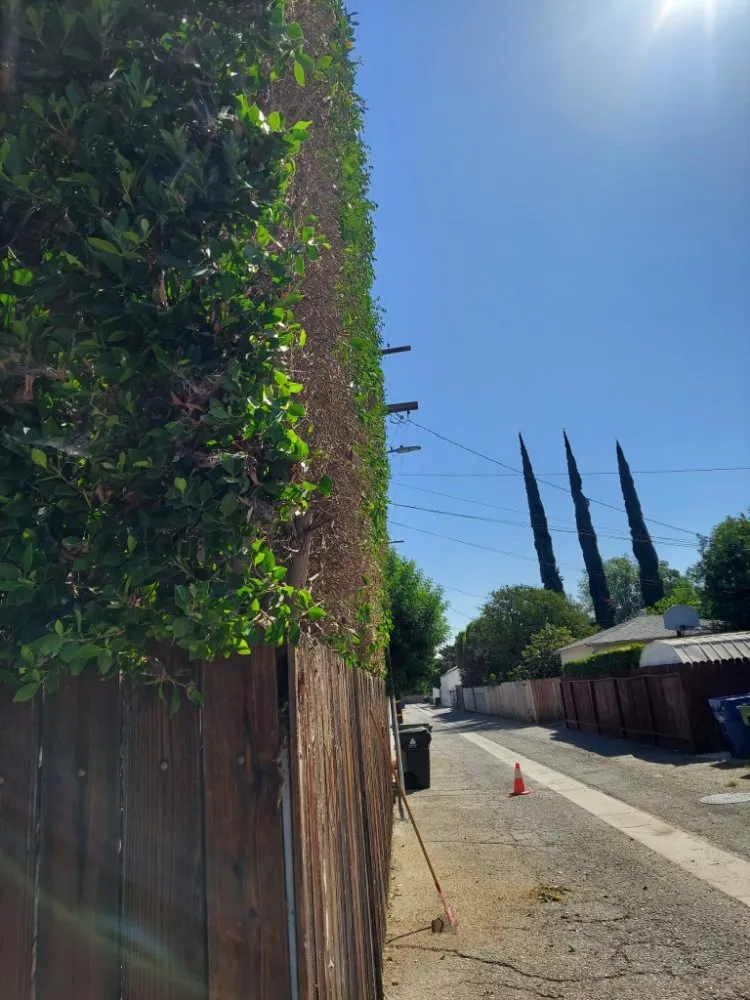 Top-rated lawn mowing service near you in Santa Clarita, CA by Francisco Garcia Landscaping and Tree Service