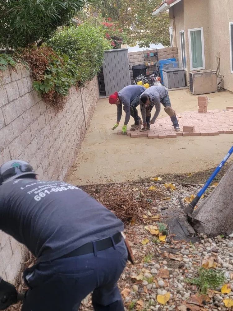 Top-rated garden landscaping in Santa Clarita, CA by Francisco Garcia Landscaping and Tree Service