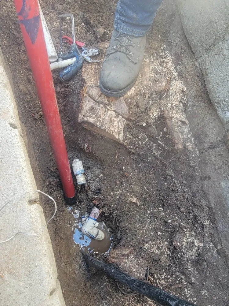 Local landscape installation for residential properties in Santa Clarita, CA by Francisco Garcia Landscaping and Tree Service